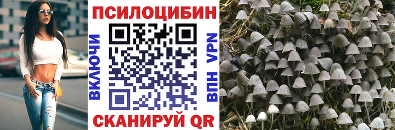 Псилоцибиновые грибы Magic Shrooms Щёлкино