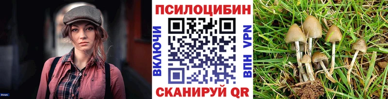 Псилоцибиновые грибы Psilocybine cubensis  kraken маркетплейс  Щёлкино 